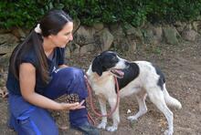 BIERENIKE, Hund, Mischlingshund in Italien - Bild 8
