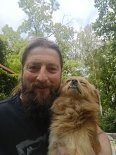 HERRMINISTER, Hund, Mischlingshund in Polen - Bild 3