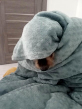 LINA, Hund, Mischlingshund in Rumänien - Bild 15