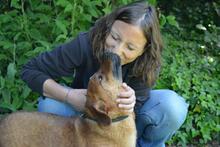 MONALDO, Hund, Mischlingshund in Italien - Bild 2