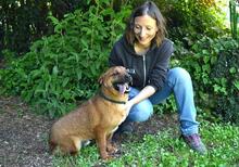 MONALDO, Hund, Mischlingshund in Italien - Bild 8