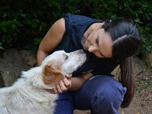 MIQUEL, Hund, Mischlingshund in Niederlande - Bild 2