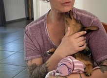 DOREEN, Hund, Mischlingshund in Ungarn - Bild 6