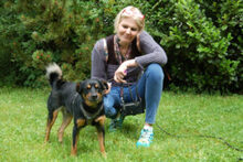 LEGO, Hund, Pinscher-Mix in Lauf - Bild 6