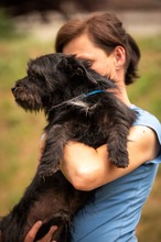 HABLATY, Hund, Mischlingshund in Ungarn - Bild 15