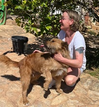 TRUFA, Hund, Gos d’Artura (Mix) in Spanien - Bild 7