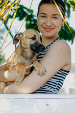 THEA, Hund, Mischlingshund in Bulgarien - Bild 2