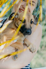 THEA, Hund, Mischlingshund in Bulgarien - Bild 3