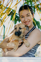 THEA, Hund, Mischlingshund in Bulgarien - Bild 4