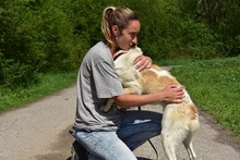 LEONY159, Hund, Mischlingshund in Slowakische Republik - Bild 13