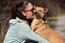 RAMIA, Hund, Mischlingshund in Slowakische Republik - Bild 2