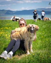 TIMEA, Hund, Mischlingshund in Schwaan - Bild 5