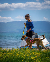 NENA, Hund, Mischlingshund in Leipzig - Bild 6