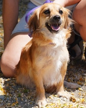 UNNA, Hund, Kokoni X in Zypern - Bild 5