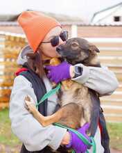 ONYX, Hund, Mischlingshund in Rott am Inn - Bild 4