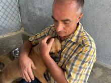 MAYA, Hund, Mischlingshund in Rumänien - Bild 3