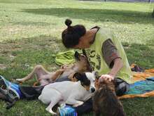FELIPE, Hund, Mischlingshund in Spanien - Bild 5