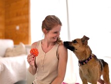 RUSYA, Hund, Mischlingshund in Schäftlarn - Bild 7
