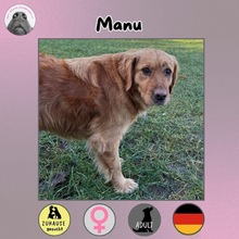 MANU, Hund, Mischlingshund in Nettetal