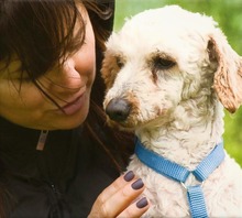 BUNNY, Hund, Mischlingshund in Portugal