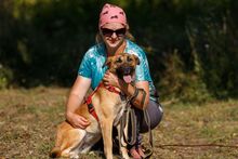 ARIEL, Hund, Mischlingshund in Russische Föderation