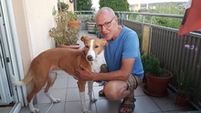MUCKI, Hund, Mischlingshund in Ochsenfurt - Bild 32