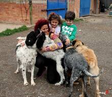 CULEBRA, Hund, Mischlingshund in Spanien - Bild 7