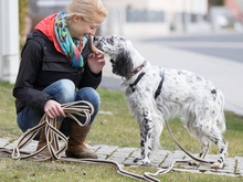 SELLI, Hund, Mischlingshund in Berka - Bild 4